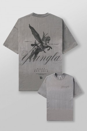 Young LA 4118 - Warrior Tees Grau | 2439-RPASV