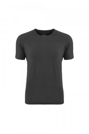 Young LA 422 Fitted Delt Tee Dunkelgrau | 3708-OLAFV