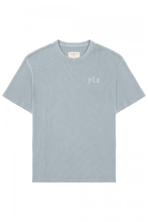 Young LA 427 Summer Waffle Tees Blau | 9630-MDWLA