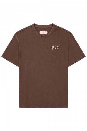 Young LA 427 Summer Waffle Tees Dunkelbraun | 9425-OVTMH
