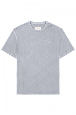 Young LA 427 Summer Waffle Tees Grau | 2608-KGISH