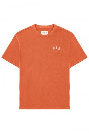 Young LA 427 Summer Waffle Tees Orange | 0781-TPDGZ