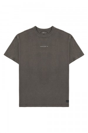 Young LA 472 - Mellow Logo Tees Grau | 8756-BLQHI