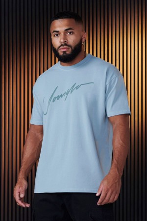 Young LA 479 - Tonal Tees Blau | 3127-PWYBL