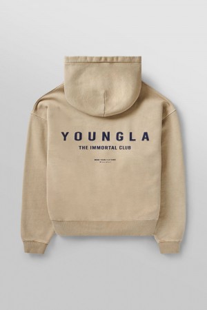 Young LA 533 - Immortal Club Hoodies Beige | 7340-UXFZW