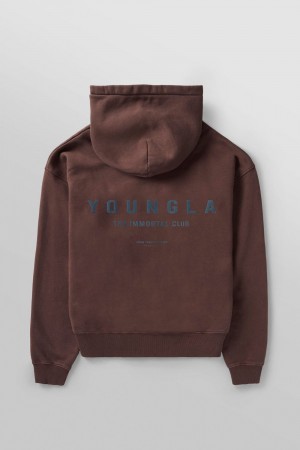 Young LA 533 - Immortal Club Hoodies Braun | 2675-CFYDK