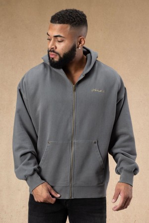 Young LA 546 Rivet Zipup Hoodies Grau | 5683-LBYVF
