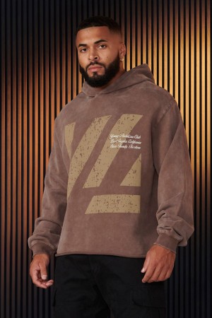 Young LA 568 - Icon Washed Hoodies Braun | 9730-GZITD