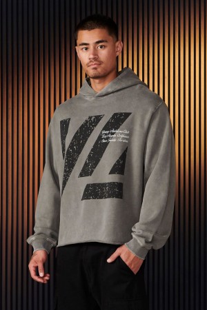 Young LA 568 - Icon Washed Hoodies Grau | 7518-SAOZD