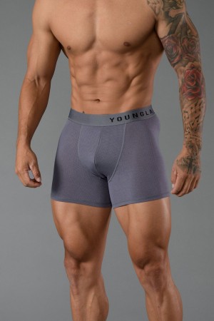 Young LA 703 Goat Briefs Grau | 0528-PWZDH