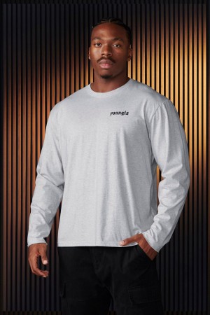 Young LA 801 - Eternal Longsleeves Grau | 1890-PRXIZ