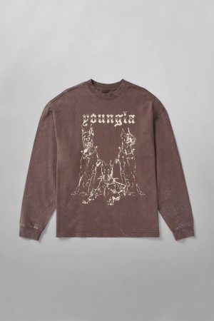 Young LA 804 For All The Dogs Longsleeves Braun | 5802-AODHK