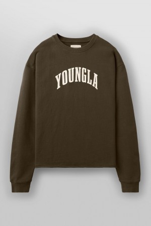 Young LA 826 - Uni Crewneck Braun | 5397-PXDEY