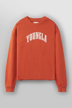 Young LA 826 - Uni Crewneck Orange | 1482-AENYV
