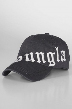 Young LA 9005 - Tilted Logo Dad Hat Grau | 6514-XPMKJ