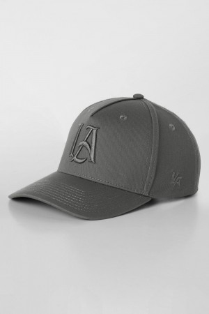 Young LA 9006 - Monochrome La Hats Grau | 8176-FJEMX