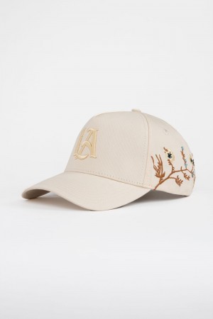 Young LA 918 La Branch Hats Beige | 1250-LRVQT