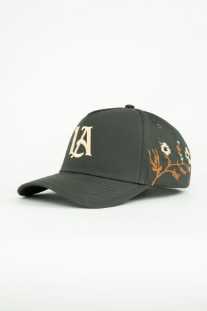 Young LA 918 La Branch Hats Olivgrün | 0968-ZJIBY
