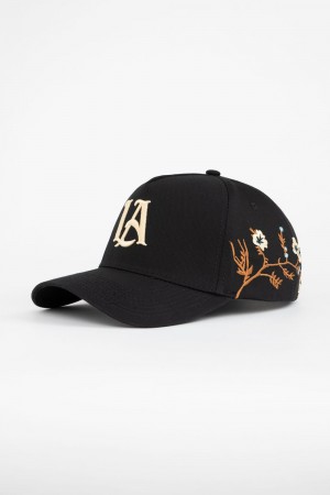 Young LA 918 La Branch Hats Schwarz | 7694-FJSEG