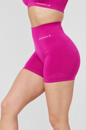 Young LA W120 - Core Seamless Shorts Fuchsie | 0174-TMQWG