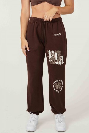 Young LA W224 Rose Joggers Dunkelbraun | 2347-RZKHU