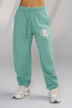 Young LA W226 - Teddy Jogger Teal | 0245-HJCYS