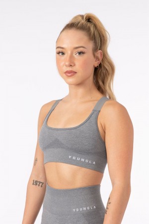 Young LA W308 Seamless Sports Bra Grau | 9214-SQOTP