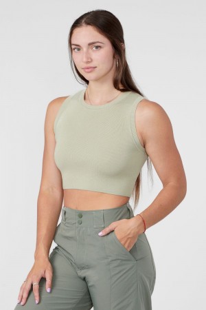 Young LA W317 Knit Tank Olivgrün | 1273-AWBYU