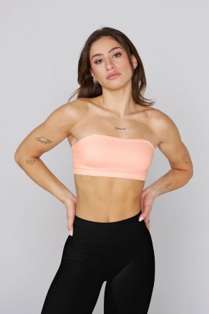 Young LA W333 Seamless Curve Bandeau Koralle | 3402-JQUZK