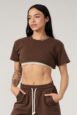 Young LA W407 Super Cropped Tee Dunkelbraun | 7512-HKMLE