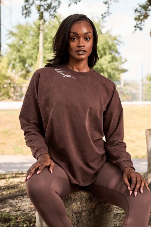 Young LA W432 - Emblem Long Sleeve Tee Dunkelbraun | 5198-XLNKB