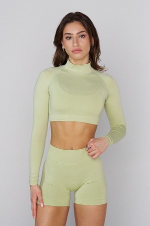 Young LA W445 Seamless Curve Longsleeve Crop Olivgrün | 2184-LGQMI