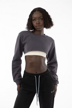 Young LA W501 Super Crop Sweater Grau | 6293-ECHRQ