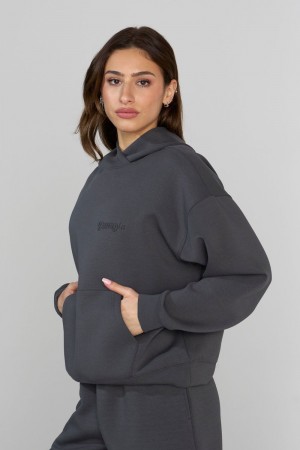 Young LA W534 Scuba Hoodie Dunkelgrau | 3157-ZLKJI