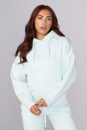 Young LA W546 Signature Hoodie Aqua | 4598-CIVAH