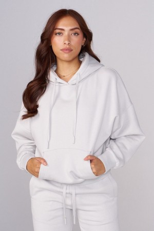 Young LA W546 Signature Hoodie Hellgrau | 0248-XEUJY