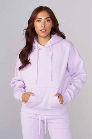 Young LA W546 Signature Hoodie Lila | 0394-USMNY